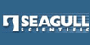 Seagull海鸥
