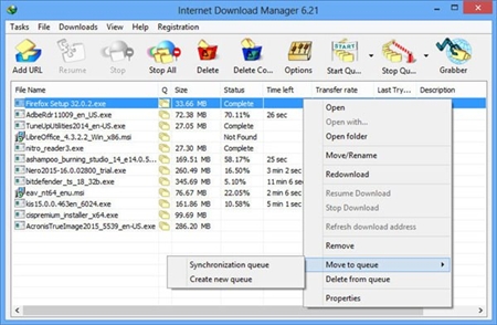 Internet Download Manager下载工具6.21 Build19版